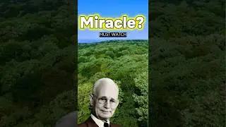 Receive the Miracle Gift: Abundance Is Already Yours 🌌 | Napoleon Hill Manifestation