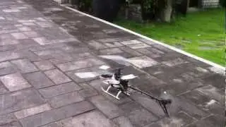 Thunder Tiger Mini Titan with KDS 800 gyro