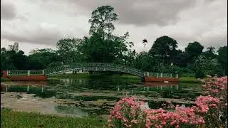 AAU JORHAT |  Assam Agricultural University Campus tour | Beauty of AAU Jorhat Assam.