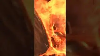 Behind The Scenes in the Chihuly Hotshop #Chihuly #Shorts #fire
