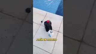 Como Tratar a Piscina Com Per&oacute;xido + M20