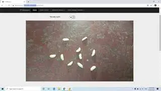 Thresholding using Image Segmenter | Image Processing Project using MATLAB