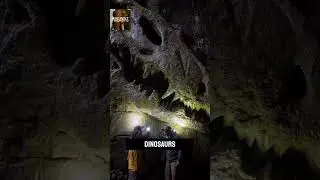 Dinosaur Skulls Found in Remote Pacific Cave &ndash; Scientists Shocked #ancientbeasts #facts #pinoy