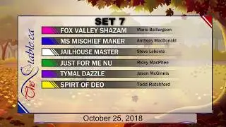FOX VALLEY SHAZAM,MS MISCHIEF MAKER,JAILHOUSE MASTER,JUST FOR ME NU,TYMAL DAZZLE,SPIRT OF DEO DRONE