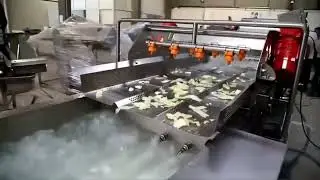 Revolutionize Your Vegetable Cleaning Process with Our High-Efficiency Cabbage Washing Machine!
