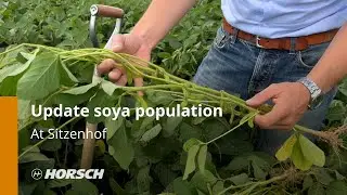 HORSCH update - soya at Sitzenhof