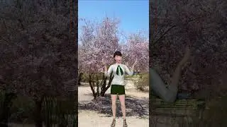 Don&rsquo;t Let the Ash Fly Kill Your Desert Ironwood #TreeDiseases #TreeExpert #Tree Doctor