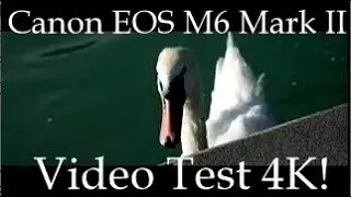 Canon EOS M6 Mark II.EF 18-150mm Video test!Videotest!Teste de v&iacute;deo!비디오 테스트!Prueba de v&iacute;deo 4K!