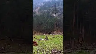 #sikkim#nature#love#🥀🥀🥀🥀🥀❤️