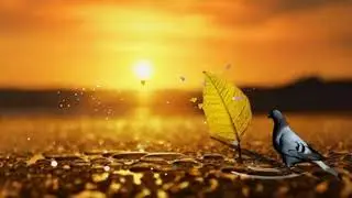 Video background alam,islami,puisi,lagu (no copyrigh) free download