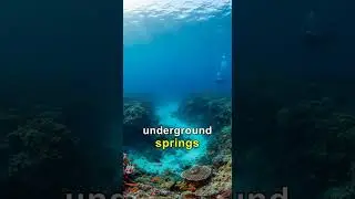 You're Surrounded by Hidden Rivers! #UnderwaterWaterfalls #OceanFacts #MindBlowing