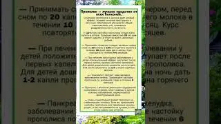 Прополис #полезныесоветы #советы #полезное #здоровье