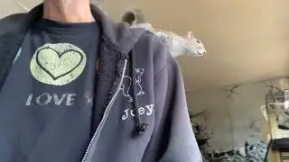 Ash&rsquo;s Stash
