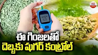 Anise Seeds Uses : ఈ గింజలతో దెబ్బకు షుగర్ కంట్రోల్ | How to Control Diabetes with Anise | ABN