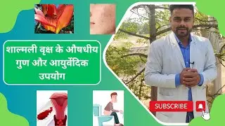 Benefits of Shalmali