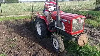 Yanmar YM1602D Iseki, Kubota minitraktorek wykopki, kopanie ziemniak&oacute;w 2023