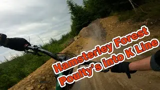Hamsterley Forest | Poultys to K Line | MTB POV