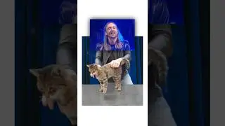 What do DJ'S actually do?
