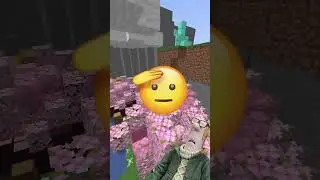 Der am Ende kam b&ouml;se bodenlos haha!😂Minecraft Shordi #minecraft #sabos