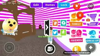 adopt me codes of 2019 - first vid! :D