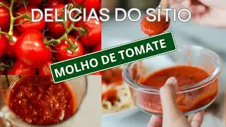 MOLHO DE TOMATE COM ERVAS FINAS DELICIOSO - MUITO  F&Aacute;CIL E R&Aacute;PIDO  - SEM CONSERVANTES
