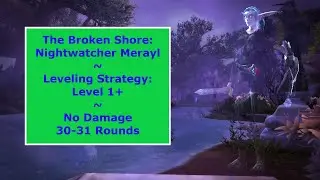 Nightwatcher Merayl: Leveling Strategy - No Damage