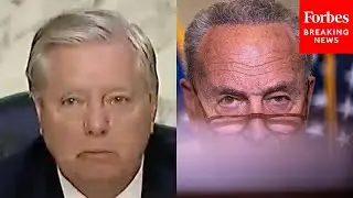 Schumer Blasts Lindsey Graham's Federal Late-Term Abortion Ban Law
