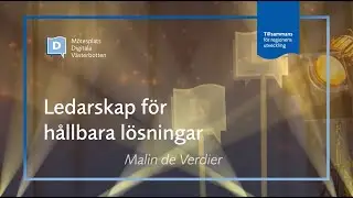 Malin de Verdier Ledarskap för hållbara lösningar