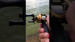 LEW'S CUSTOM PRO! 1 OF THE BEST IN THE GAME #bassfishing #fishing #sports