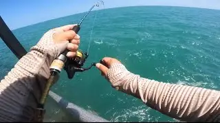 Fish for Dinner 😋 &ldquo;Catch n Cook&rdquo; | Nightcliff Jetty | Darwin Fishing | Australia