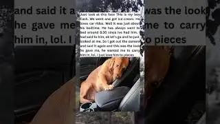 He look so cute#fory #viral #memes