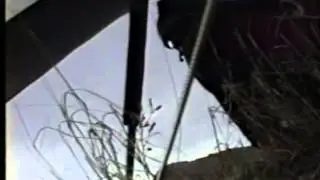 Hang Glider crash on Lookout Mountain