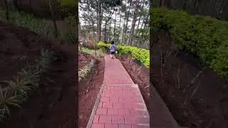 Secret Garden at Camp John Hay? 📸 #travel #baguiocity #nature #shorts
