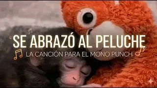 SE ABRAZ&Oacute; AL PELUCHE - CANCI&Oacute;N DEL MONO PUNCH