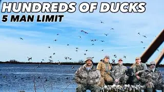 HUNDREDS of Ducks Coming In! (5 Man Limit on the Marsh)