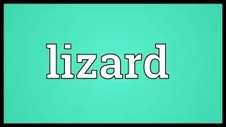 Lizard Meaning
