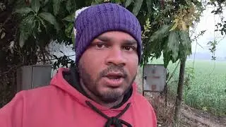  मोठ्या खेकडी भेटल्या पिंजऱ्यात 