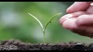 Every day, everywhere, family farmers work hard to produce the food we eat