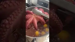 Pulpo a la Gallega. #octopus #pulpo #tako