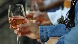 Sask. govt. wants to allow municipalities, parks to permit alcohol in outdoor spaces