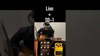 Universal Audio Lion + Boss SD-1 Demo Music Guitar Riff #shorts