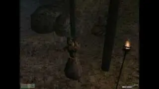 TES3: Morrowind - Rare Animation Glitch