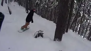 Blackcomb Treerun 블랙콤 트리런 원런