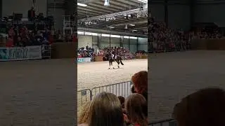 v&yacute;stava kon&iacute; Lys&aacute; nad Labem🏇🏻