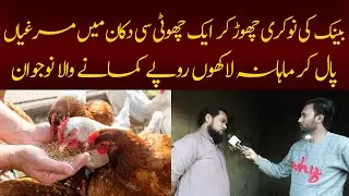 Smart Hen Farm At Mini Shop#golden misri business farming