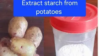 HOW TO EXTRACT STARCH FROM POTATOES AT HOME @ayakothefoodscientist