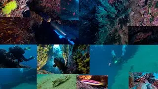 Buceo en La Catedral, Playa Chica, Puerto del Carmen Lanzarote 8-12-2024