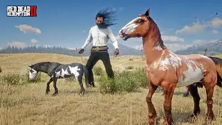 Я превратил Артура в ВЕЛИКАНА, и лошади в ужасе! | Лошади-мустанги из RDR2