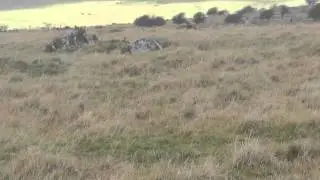 The Hurlers Stone Rows
