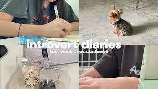 Introvert Diaries | last week of winter break, starting a new job, prepping for the new sem